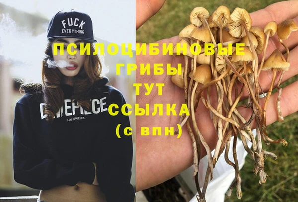 прущая мука Верея