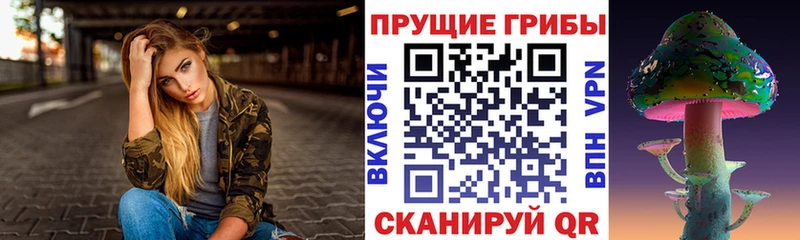 mega ССЫЛКА  Медногорск  Псилоцибиновые грибы мухоморы 