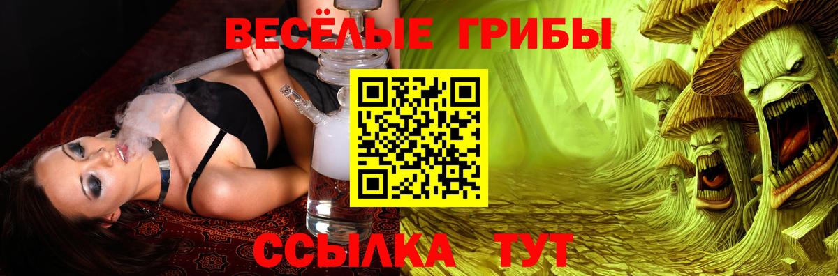 Медногорск  Галлюциногенные грибы Psilocybine cubensis  Псилоцибиновые грибы ЛСД  Вход с VPN 
